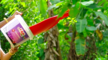 FAB İLƏ GÖZƏLDİR HƏR YAN